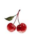 Cherry 2 Art Print