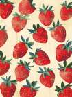 Strawberry 1 Art Print
