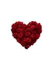 Heart 1 Art Print