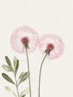 Fairy Wishes 1 Art Print