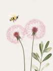 Fairy Wishes 3 Art Print