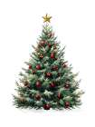 Christmas Tree With Gold Star 1 Art Print