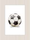Vintage Sports 1 Art Print
