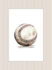 Vintage Sports 3 Art Print