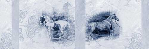 Dream Of Horses 1 Art Print