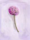 Single Stem Art Print
