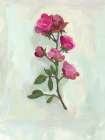 Single Stem 3 Art Print