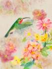Humming Bird Garden 2 Art Print