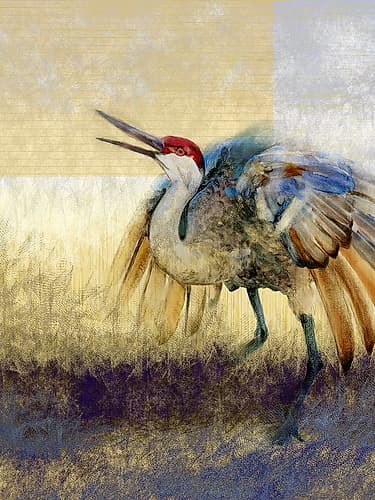 Flying Free 1 Art Print