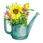 Sunflower Frolic 1 Art Print
