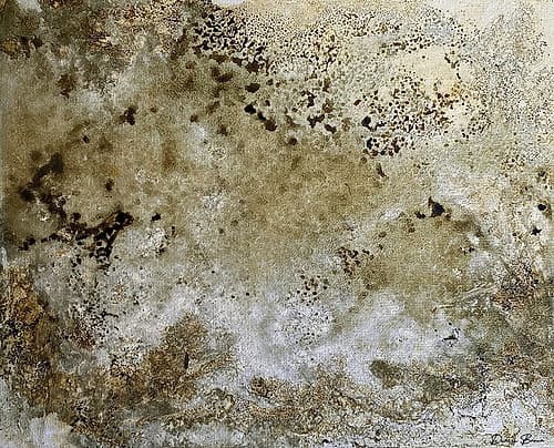 Fissures 2 Art Print by Denise Brown
