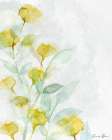 Modern Poppies 1 Art Print