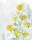 Modern Poppies 2 Art Print