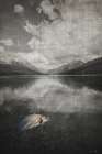 Fall Lake Trout Art Print