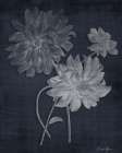 Botanical Edge 1 Art Print