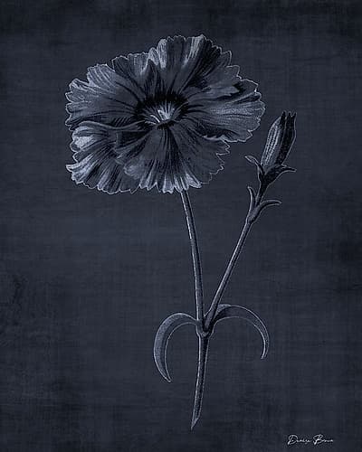 Botanical Edge 5 Art Print by Denise Brown
