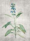 Blue Botanical 1 Botanical Print