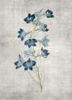 Blue Botanical 3 Botanical Print