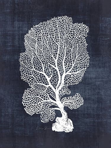 Sea Fan 1 Art Print by David Carter Brown