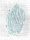 Beautiful Shells 1 Art Print