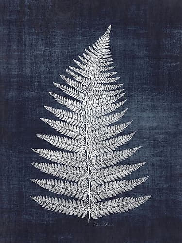 Fern 1 Art Print by Victoria Brown
