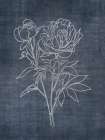 White Peony on Navy 2 Art Print