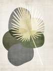 Cabana Palm 1 Botanical Print