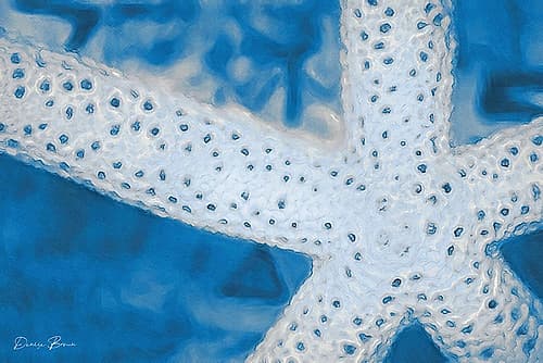 Star Fish Coastal Print