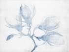 Floral Study Art Print