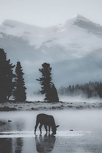 Mountain Silhouette Wildlife Print
