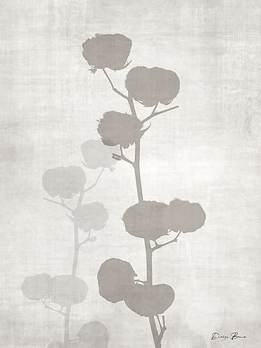 Modern Cotton 1 Art Print by Denise Brown