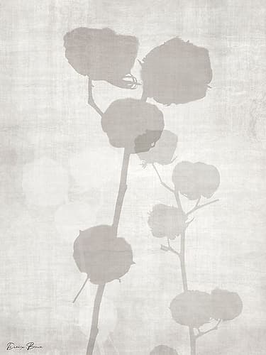 Modern Cotton 2 Art Print by Denise Brown