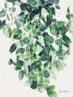 Hanging Greens 1 Art Print