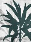 Urban Greenery 2 Botanical Print