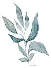 Watercolor Botanical 1 Botanical Print