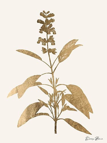 Leafed Botanical 1 Nature Print