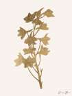 Leafed Botanical 3 Art Print
