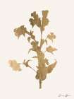 Leafed Botanical 4 Art Print