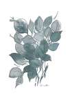 Outlined Stem 1 Botanical Print