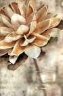 Magnolia 2 Art Print