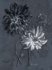 Tranquil Botanical 1 Art Print
