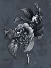 Tranquil Botanical 2 Art Print