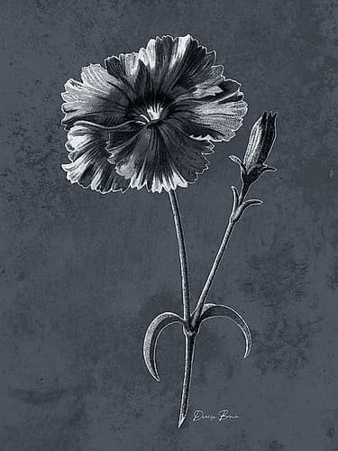 Tranquil Botanical 3 Art Print by Denise Brown