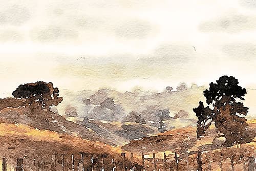 Front Porch View Landscape Print