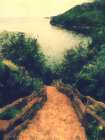 Pathway Art Print