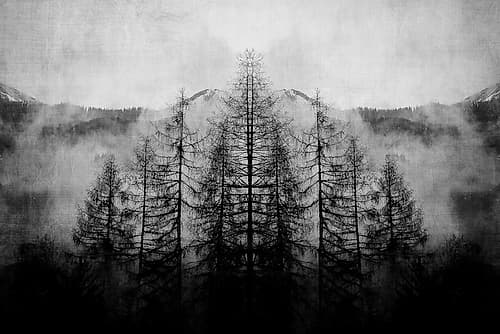 Trees and Clouds Landscape Print