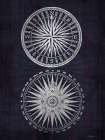 Compass 1 Coastal Print