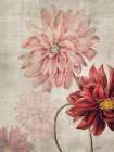 Dahlias Art Print
