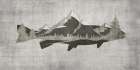 Mountain Trout Art Print