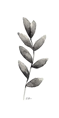 Botanical Stem 1 Art Print by Denise Brown